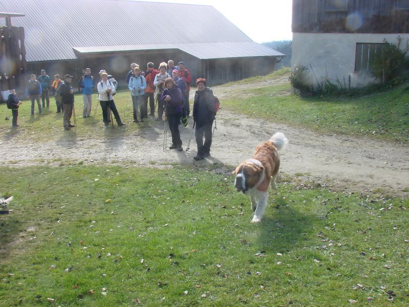 Košenjak 2010 - foto povečava