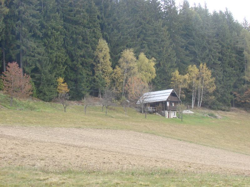 Košenjak 2010 - foto povečava