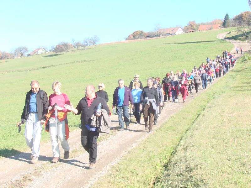 Pohod obcine Lenart 2010 - foto povečava