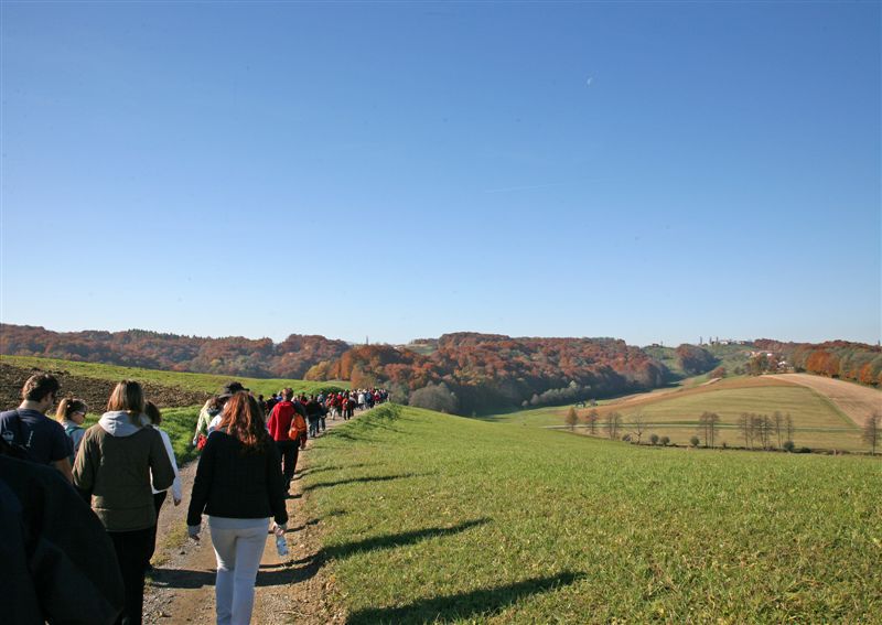 Pohod obcine Lenart 2010 - foto povečava