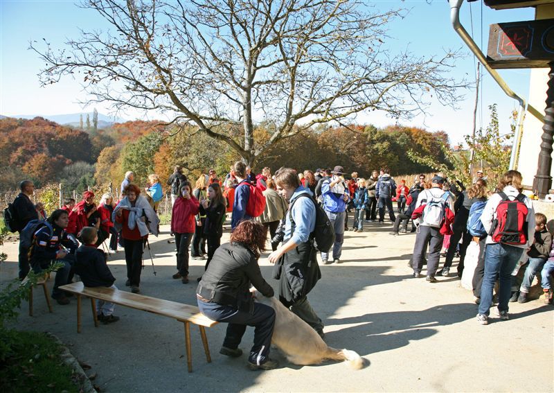 Pohod obcine Lenart 2010 - foto povečava