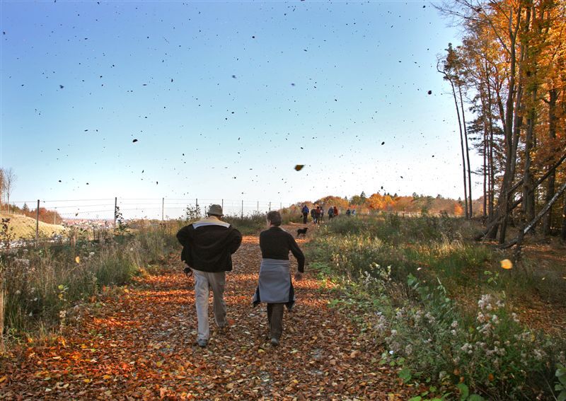 Pohod obcine Lenart 2010 - foto povečava