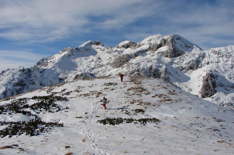 Lučki dedec 2010 - foto povečava