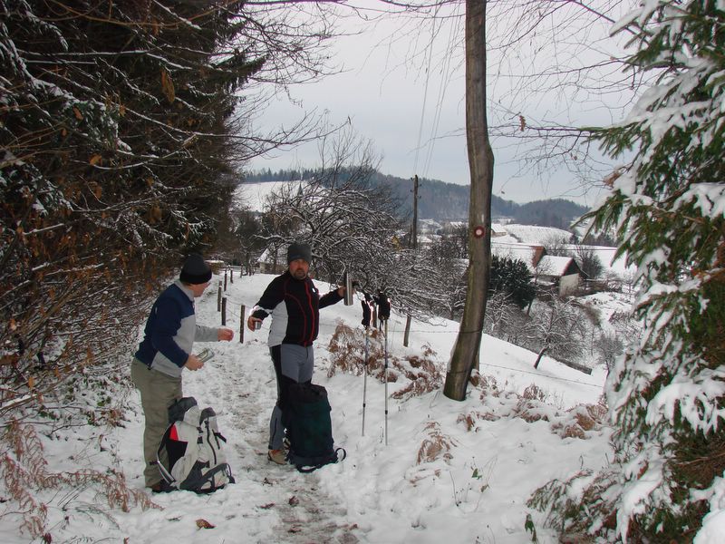 Tojzlov vrh 2010 - foto povečava