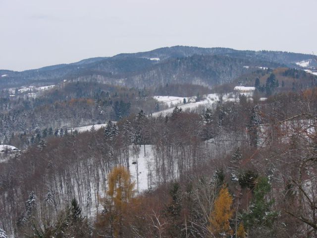 Tojzlov vrh 2010 - foto