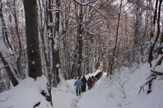 Tojzlov vrh 2010 - foto