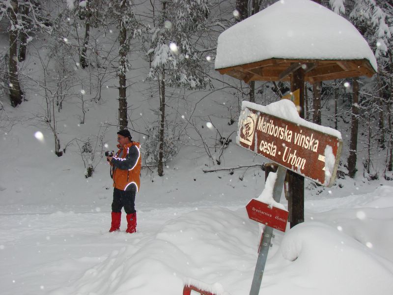 Tojzlov vrh 2010 - foto povečava