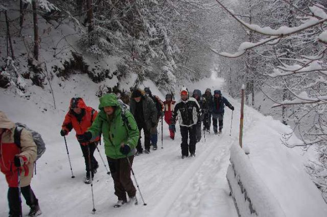 Tojzlov vrh 2010 - foto