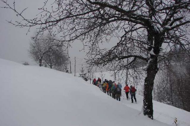 Tojzlov vrh 2010 - foto