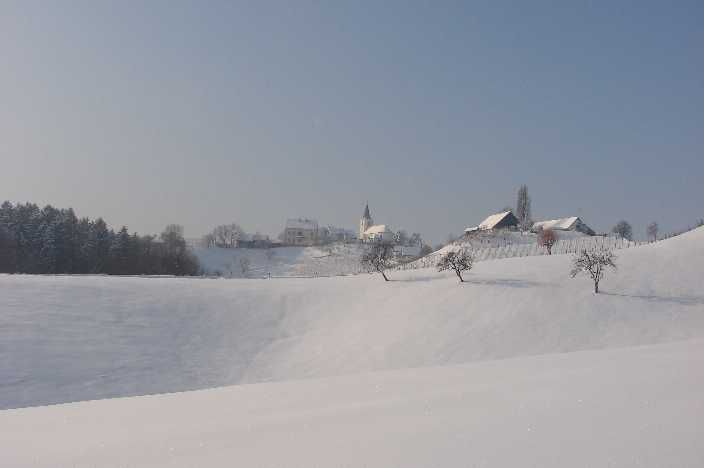 Tojzlov vrh 2010 - foto povečava