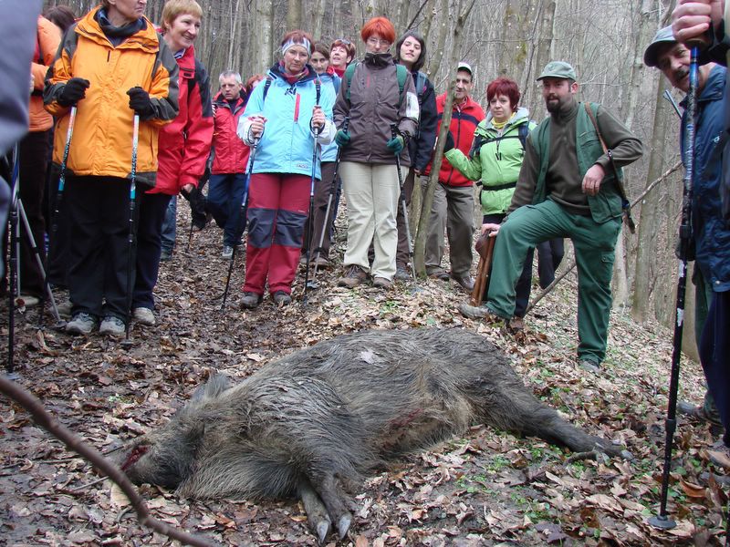 Goričko 2011 - foto povečava