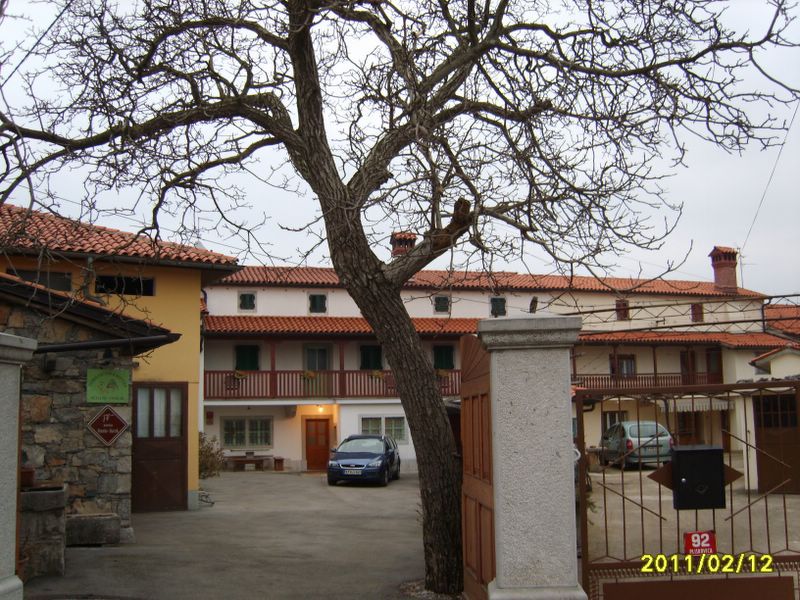 Trstelj marec2011 - foto povečava