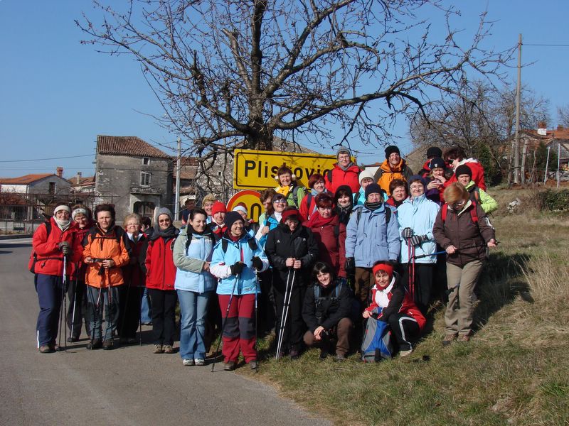 Trstelj marec2011 - foto povečava