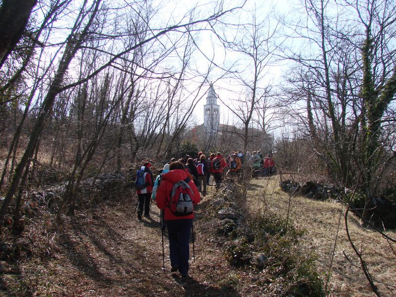 Trstelj marec2011 - foto povečava