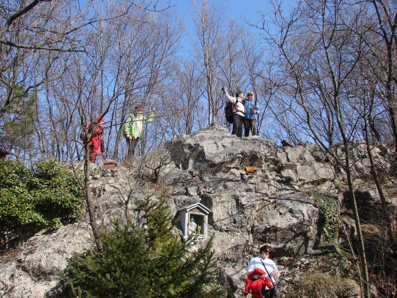 Trstelj marec2011 - foto povečava