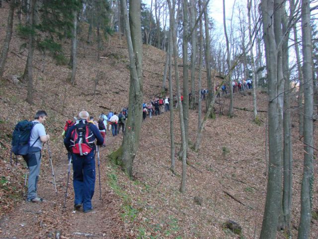 Grmada_tošč-april+ogledna 2011 - foto