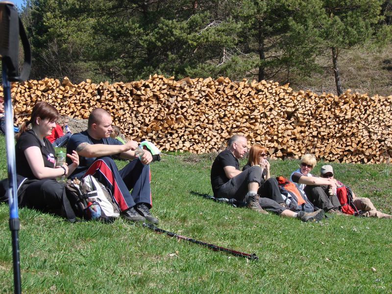 Grmada_tošč-april+ogledna 2011 - foto povečava