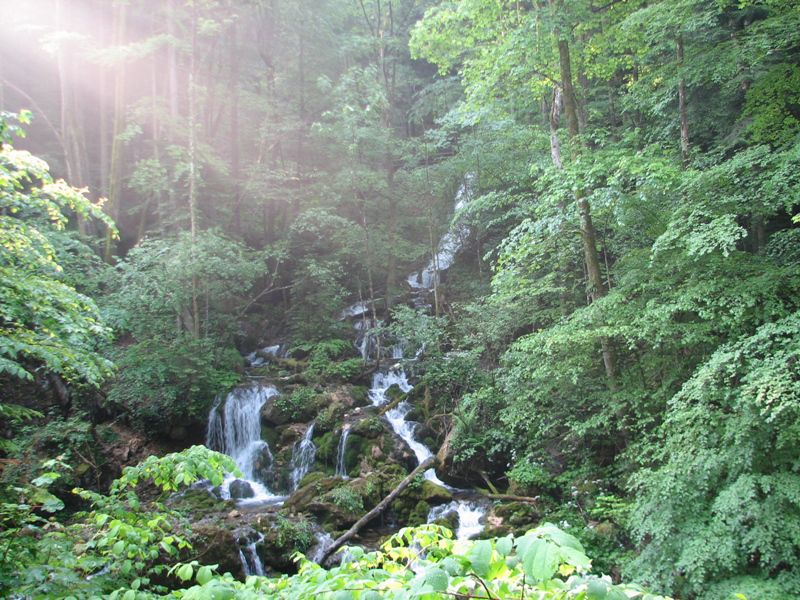 Bärenschützklamm-Hochlantch maj 2011 - foto povečava