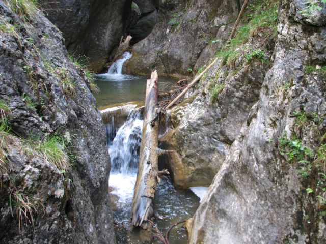 Bärenschützklamm-Hochlantch maj 2011 - foto