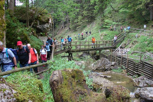 Bärenschützklamm-Hochlantch maj 2011 - foto