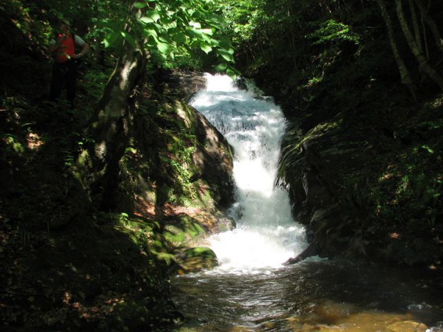 Bistriški Vintgar-Trije kralji 29. maj 2011 - foto