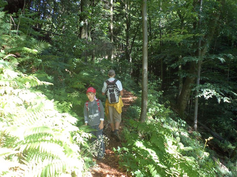 Bistriški Vintgar-Trije kralji 29. maj 2011 - foto povečava