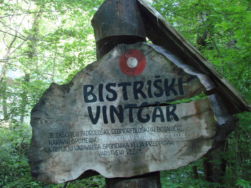 Bistriški Vintgar-Trije kralji 29. maj 2011 - foto povečava