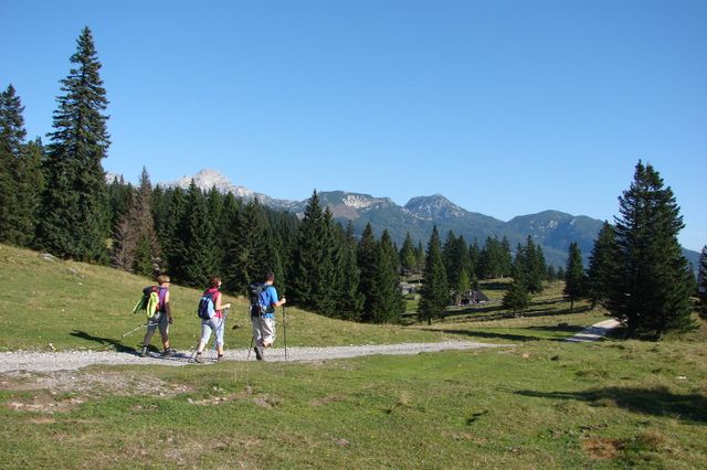 Velika planina (sept. 2011) - foto