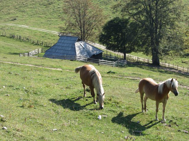 Velika planina (sept. 2011) - foto