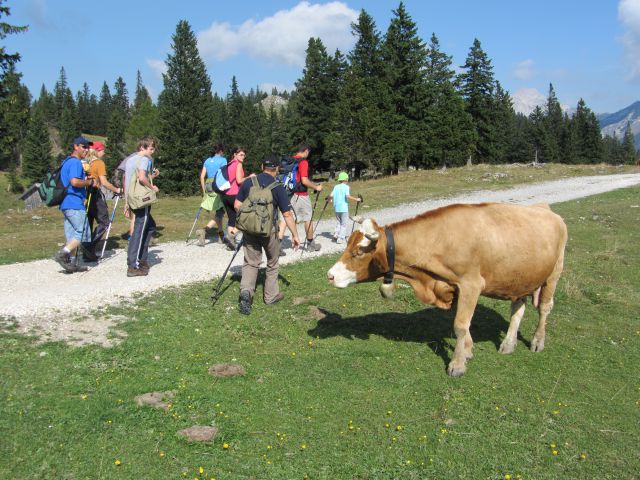 Velika planina (sept. 2011) - foto