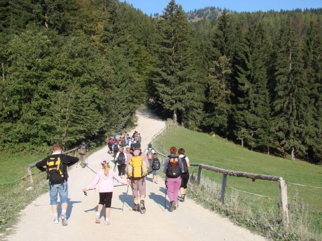 Velika planina (sept. 2011) - foto