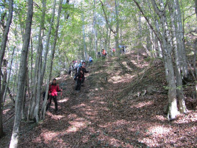 Vinska gora-rudnik velenje (okt.2011)+ogledna - foto