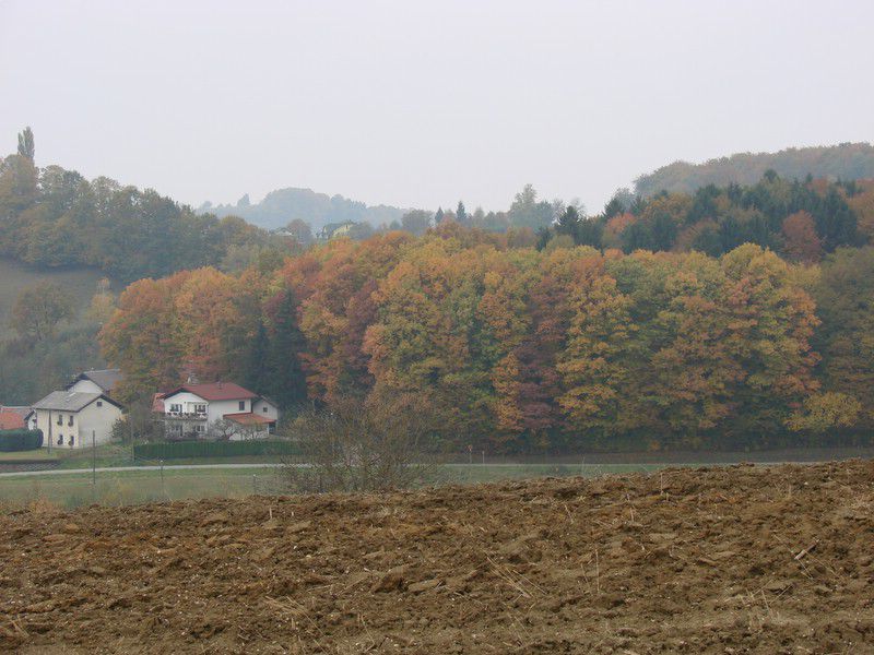 Pohod ob prazniku občine Lenart (okt.2011) - foto povečava