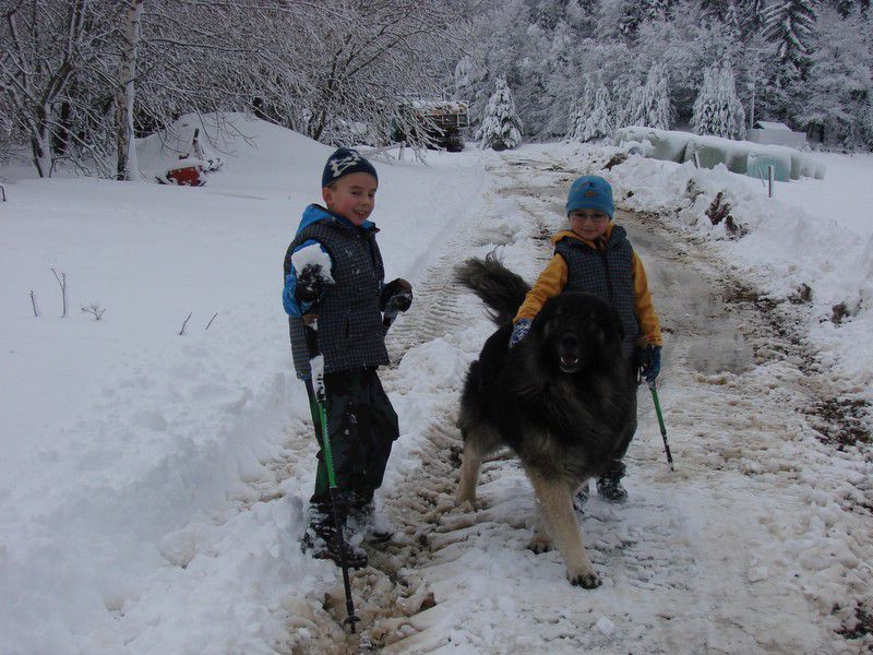 Žavcarjev vrh (dec.2011) - foto povečava