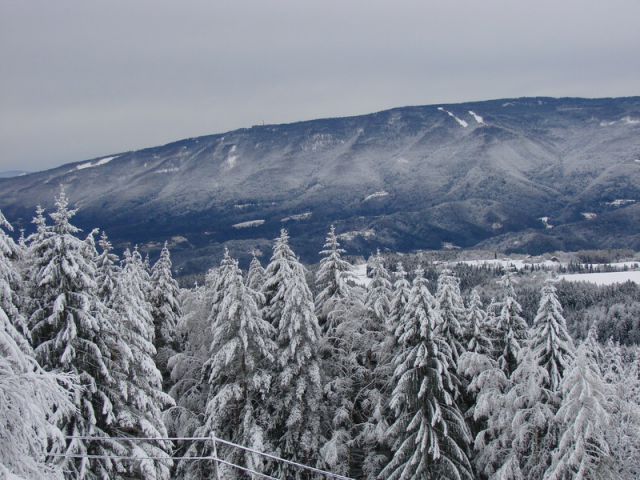 Žavcarjev vrh (dec.2011) - foto