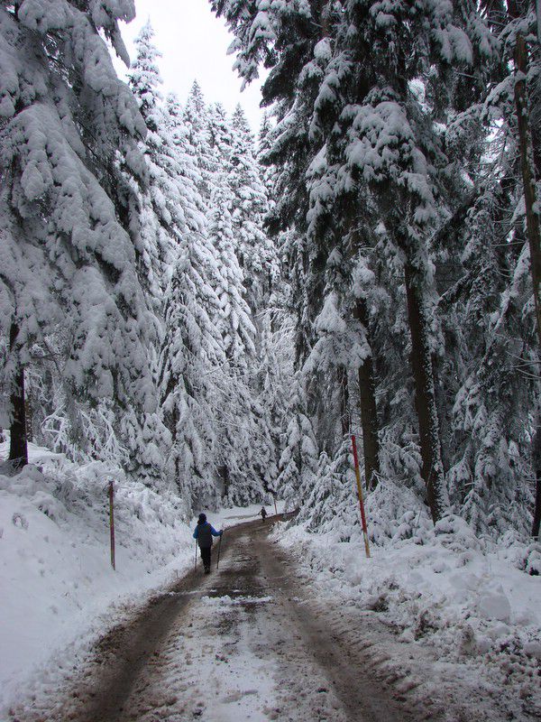 Žavcarjev vrh (dec.2011) - foto povečava