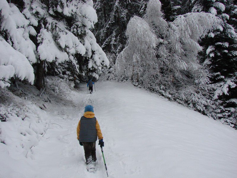 Žavcarjev vrh (dec.2011) - foto povečava