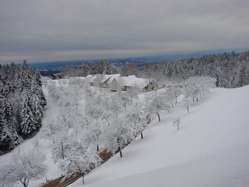 Žavcarjev vrh (dec.2011) - foto povečava