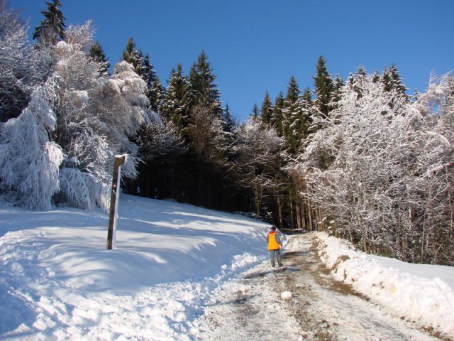 Žavcarjev vrh (dec.2011) - foto