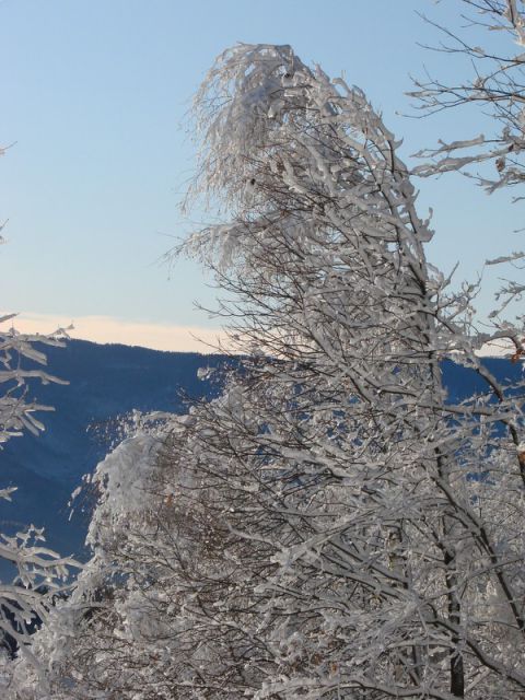 Žavcarjev vrh (dec.2011) - foto