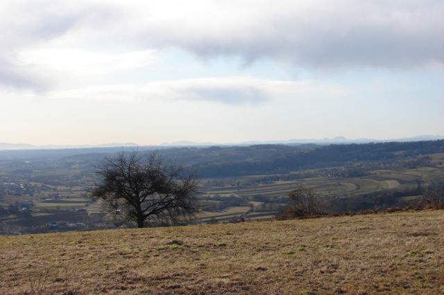 Kuzma -Rogašovci (jan.2012) - foto