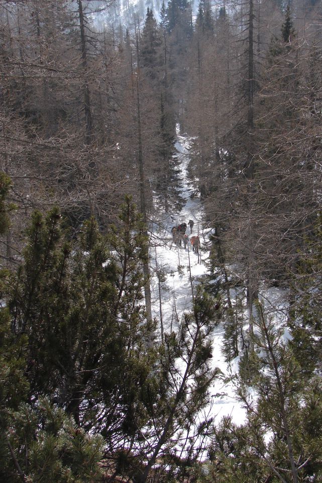 Debela peč (jan.2012) - foto povečava