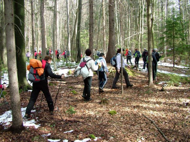 Sava-zasavska sv. gora-vače (feb.2012) - foto