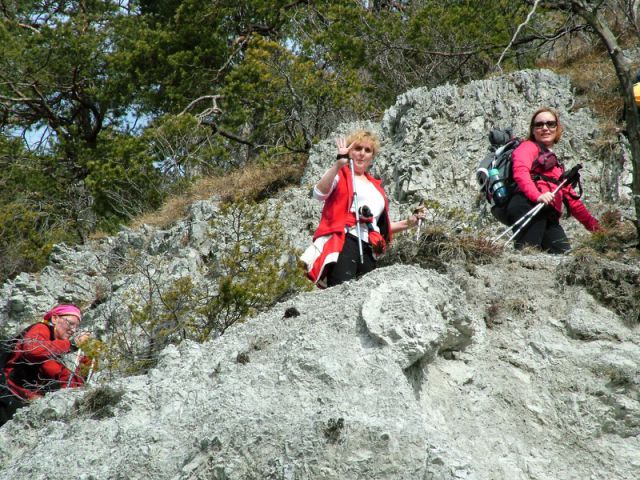 Sava-zasavska sv. gora-vače (feb.2012) - foto