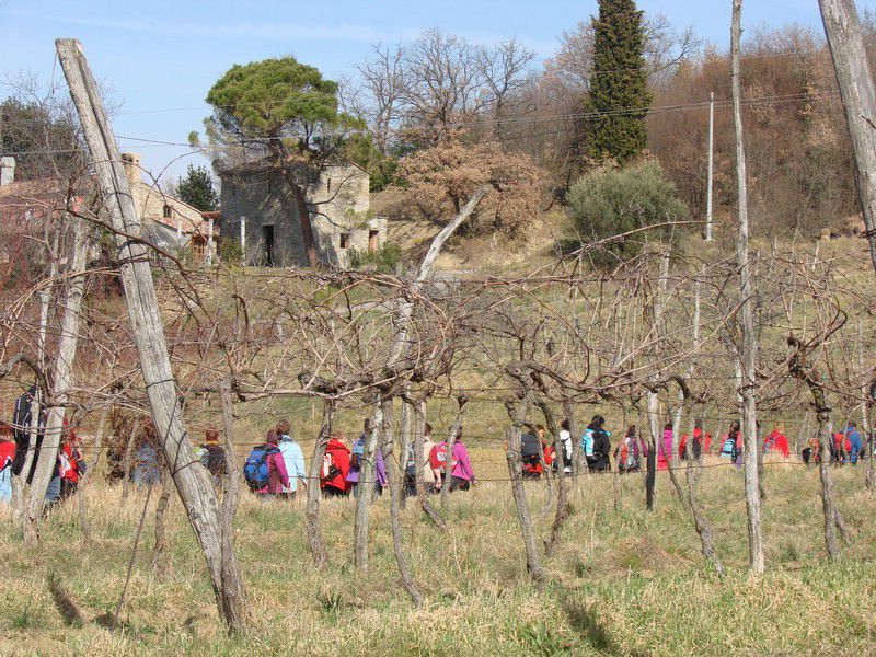 Pohod ob dnevu žena (mar.2012) - foto povečava