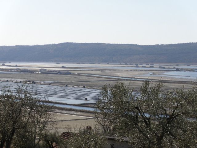 Pohod ob dnevu žena (mar.2012) - foto