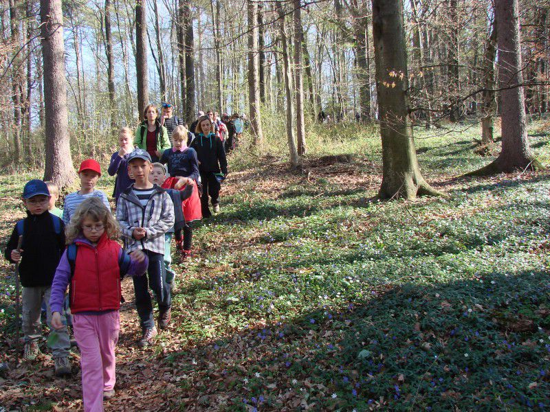 Srečanje predšolskih otrok polena (mar.2012) - foto povečava