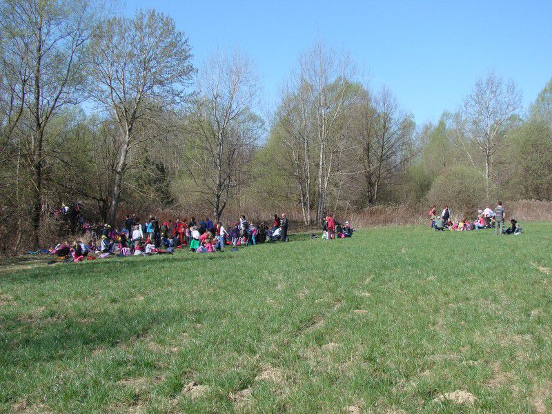 Srečanje predšolskih otrok polena (mar.2012) - foto povečava