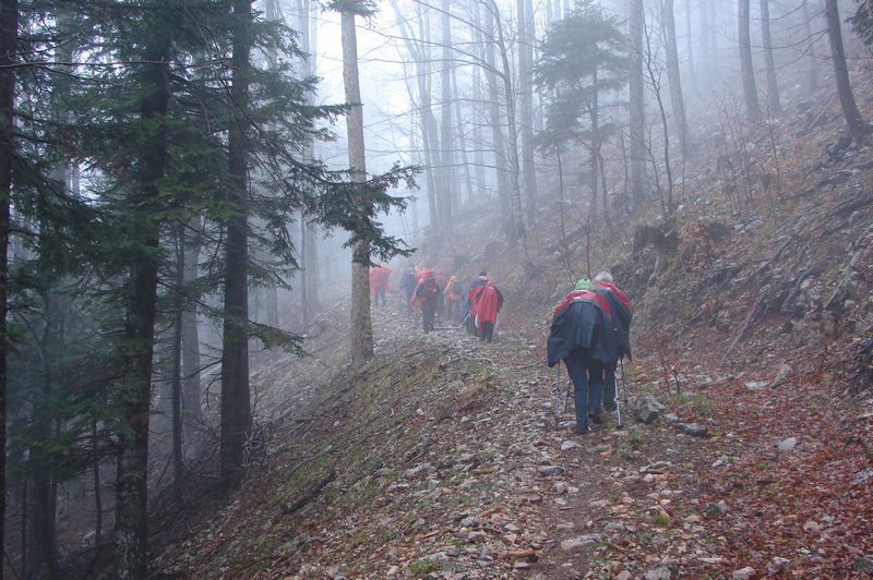 Novi vinodolski (apr.2012) - foto povečava