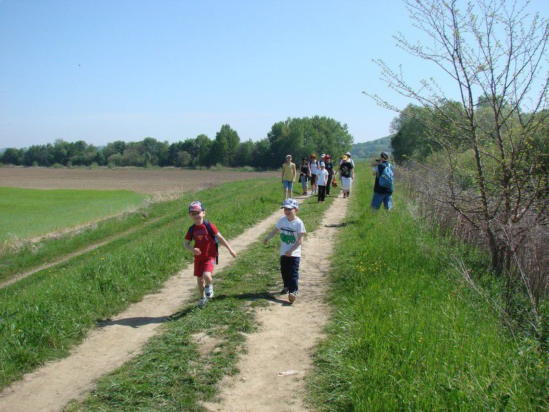 Prvomajski pohod na Zavrh (maj.2012) - foto povečava